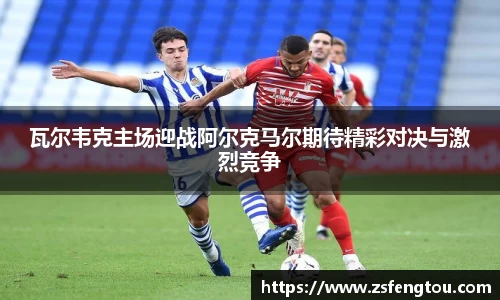 OETY中国官方网站